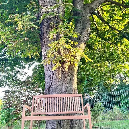 Svantovit - Exklusives Mit Sauna, Whirlpool-wanne Und Kamin 펜션